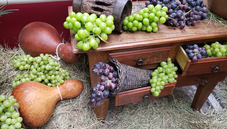  Solidariedade e diversão são os ingredientes da 39ª Festa da Uva e 10ª Expo Vinhos