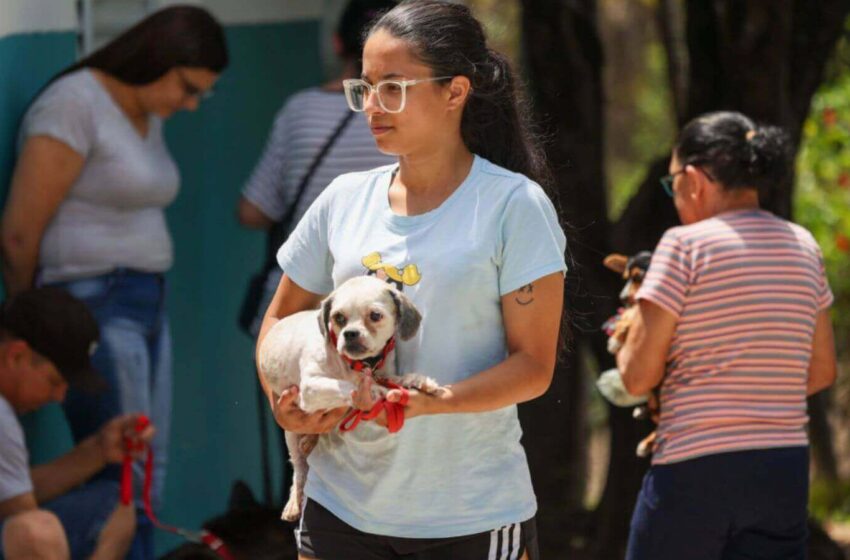 2024 começa com castração gratuita de cães e gatos em Jundiaí