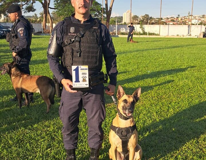  1º LUGAR: Com 20 anos, Canil da GMJ é campeão no torneio de Cães Policiais